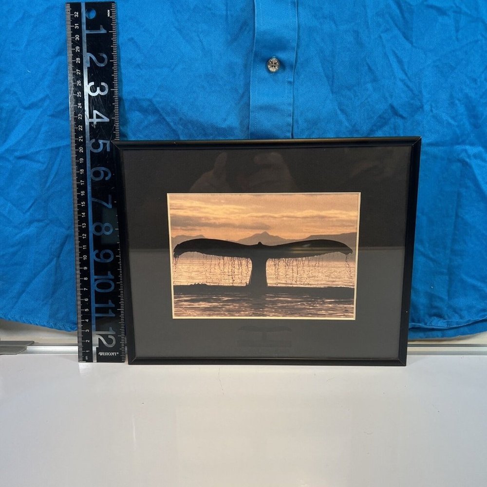 Mint Bob Talbot Whale Tail Framed and Matted under Glass Rare